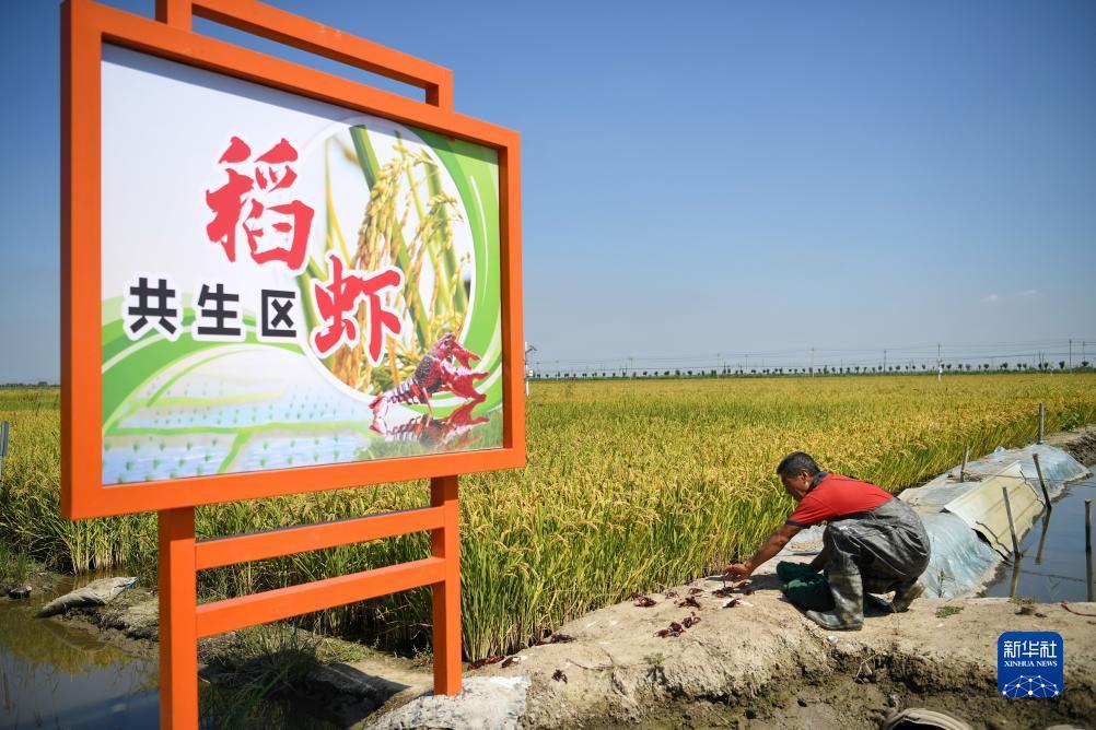 葡京游戏网址