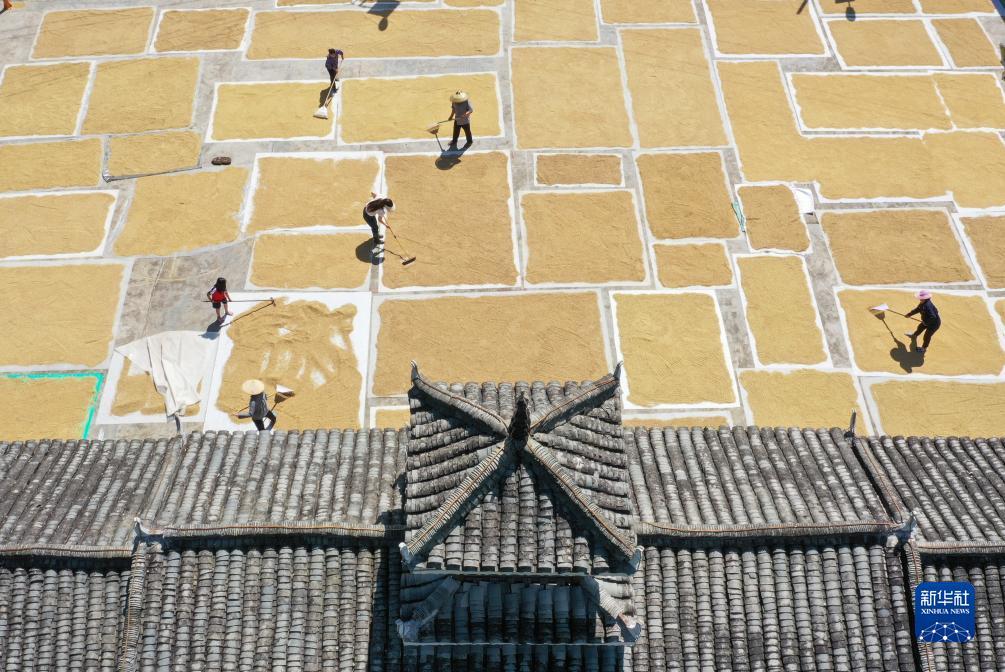 扑鱼达人3d官网最新版